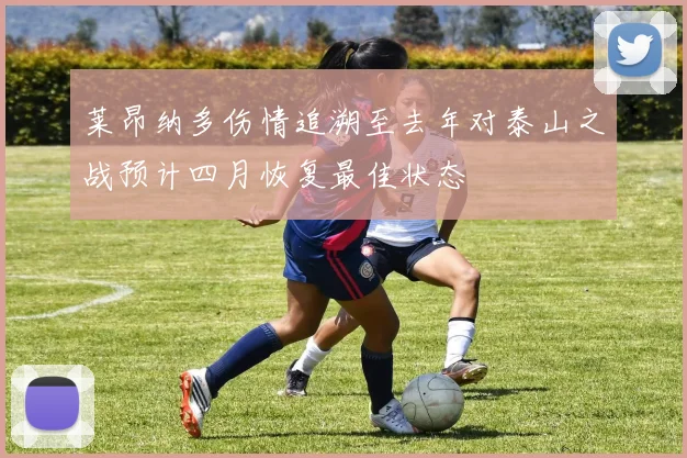 莱昂纳多伤情追溯至去年对泰山之战预计四月恢复最佳状态