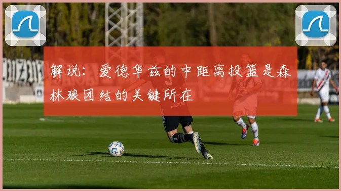 解说：爱德华兹的中距离投篮是森林狼团结的关键所在